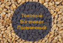 Солод Токовый Богемиан Пшеничный (Weyermann), 1 кг