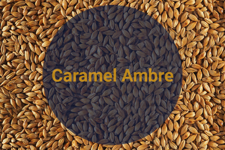 Солод Карамельный Янтарный / Caramel Ambre, 100-120 EBC (Soufflet),1 кг.