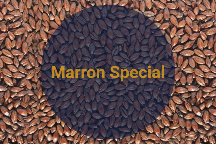 Солод Каштановый Специальный / Marron Special, 270-320 EBC (Soufflet), 1 кг