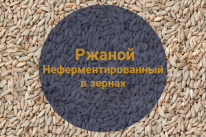 Солод весовой Ржаной Неферментированный в зернах (Росток)