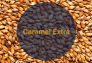 Солод Карамельный Экстра / Caramel Extra, 230-270 EBC (Soufflet), 1 кг.